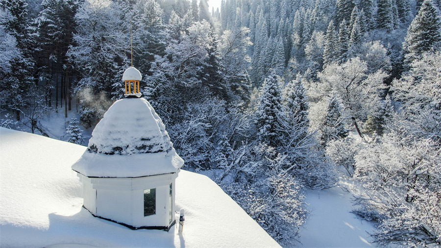 无码人妻少妇色欲AV一区二区