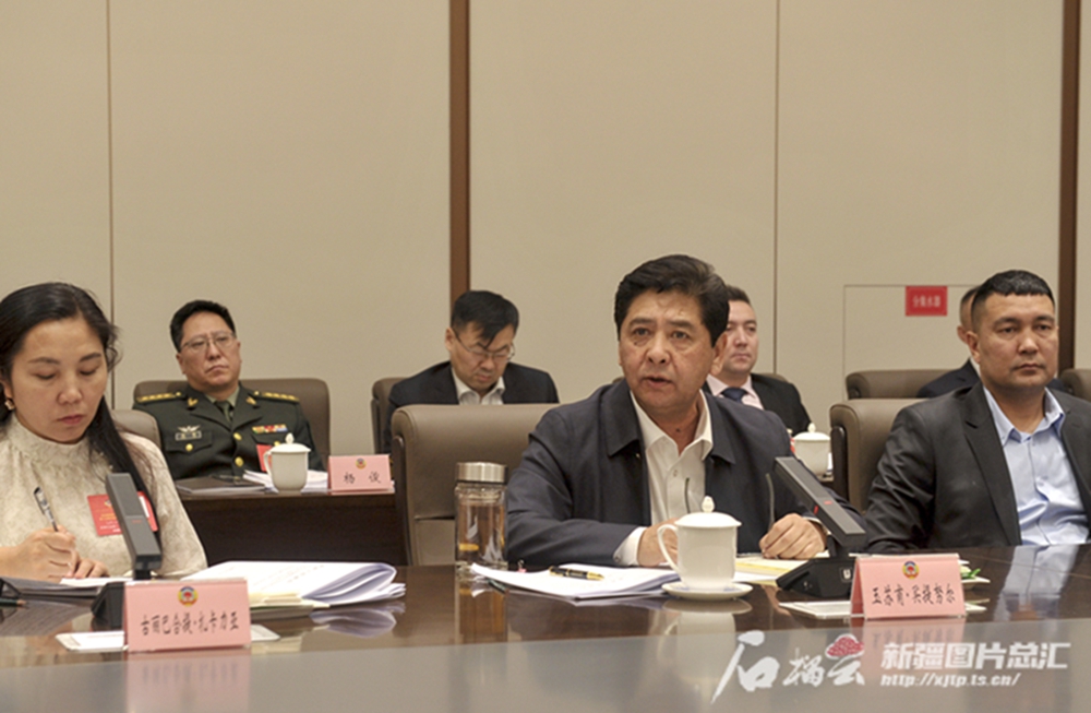 无码人妻少妇色欲AV一区二区