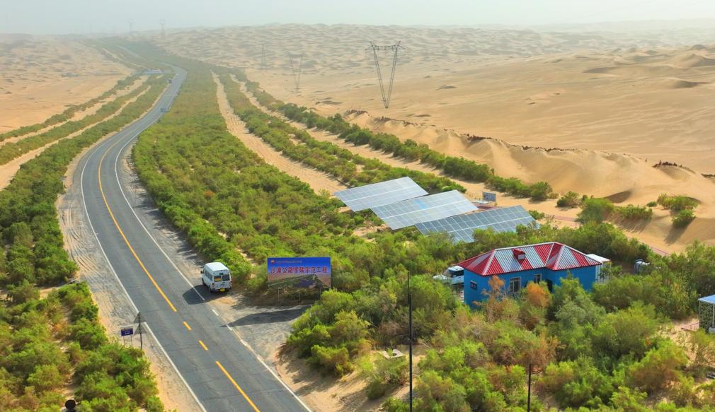 无码人妻少妇色欲AV一区二区