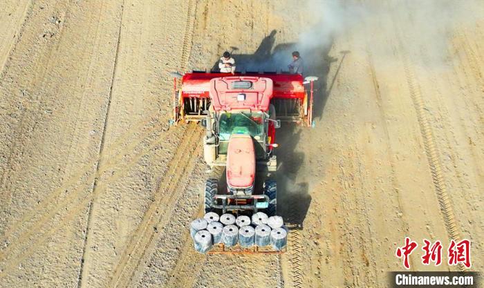 无码人妻少妇色欲AV一区二区