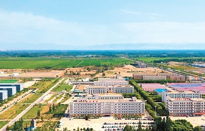 无码人妻少妇色欲AV一区二区