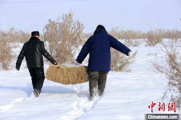 无码人妻少妇色欲AV一区二区