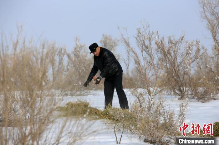 无码人妻少妇色欲AV一区二区