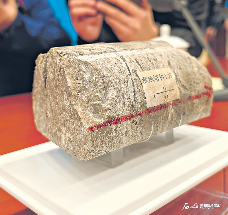 无码人妻少妇色欲AV一区二区