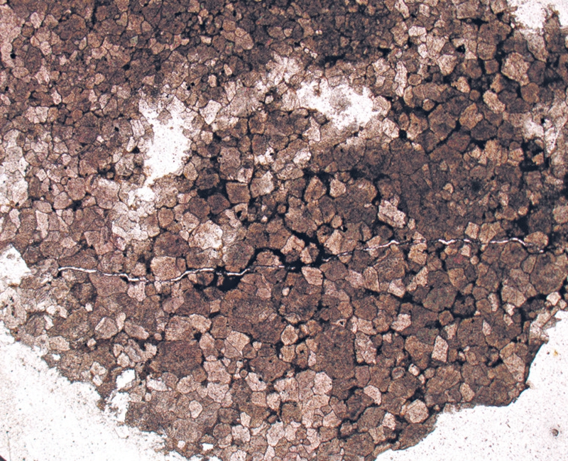 无码人妻少妇色欲AV一区二区