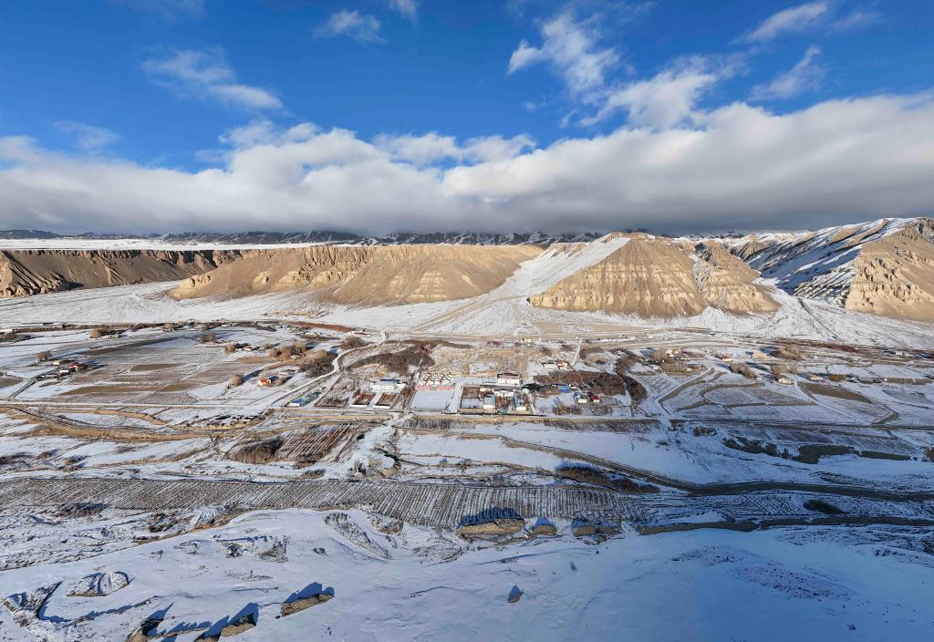 无码人妻少妇色欲AV一区二区