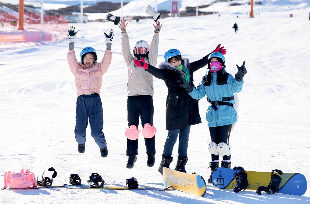 无码人妻少妇色欲AV一区二区