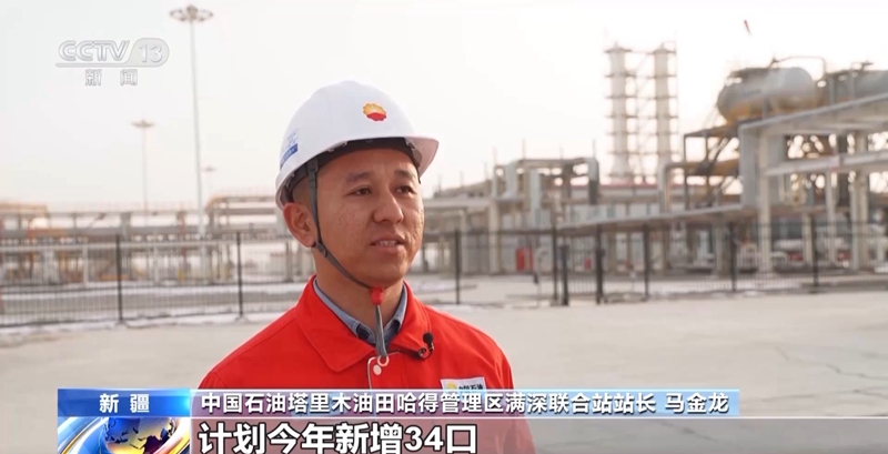 无码人妻少妇色欲AV一区二区