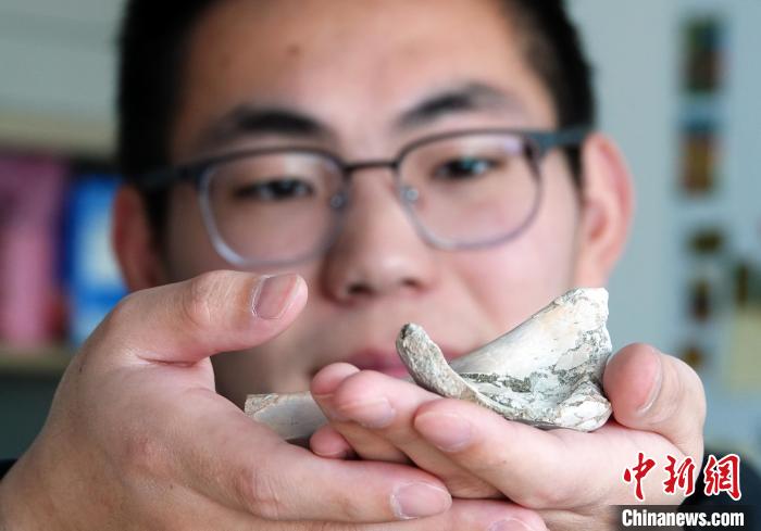 无码人妻少妇色欲AV一区二区