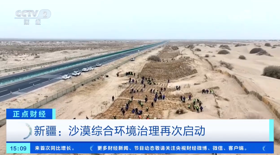 无码人妻少妇色欲AV一区二区