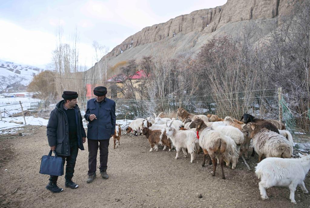 无码人妻少妇色欲AV一区二区