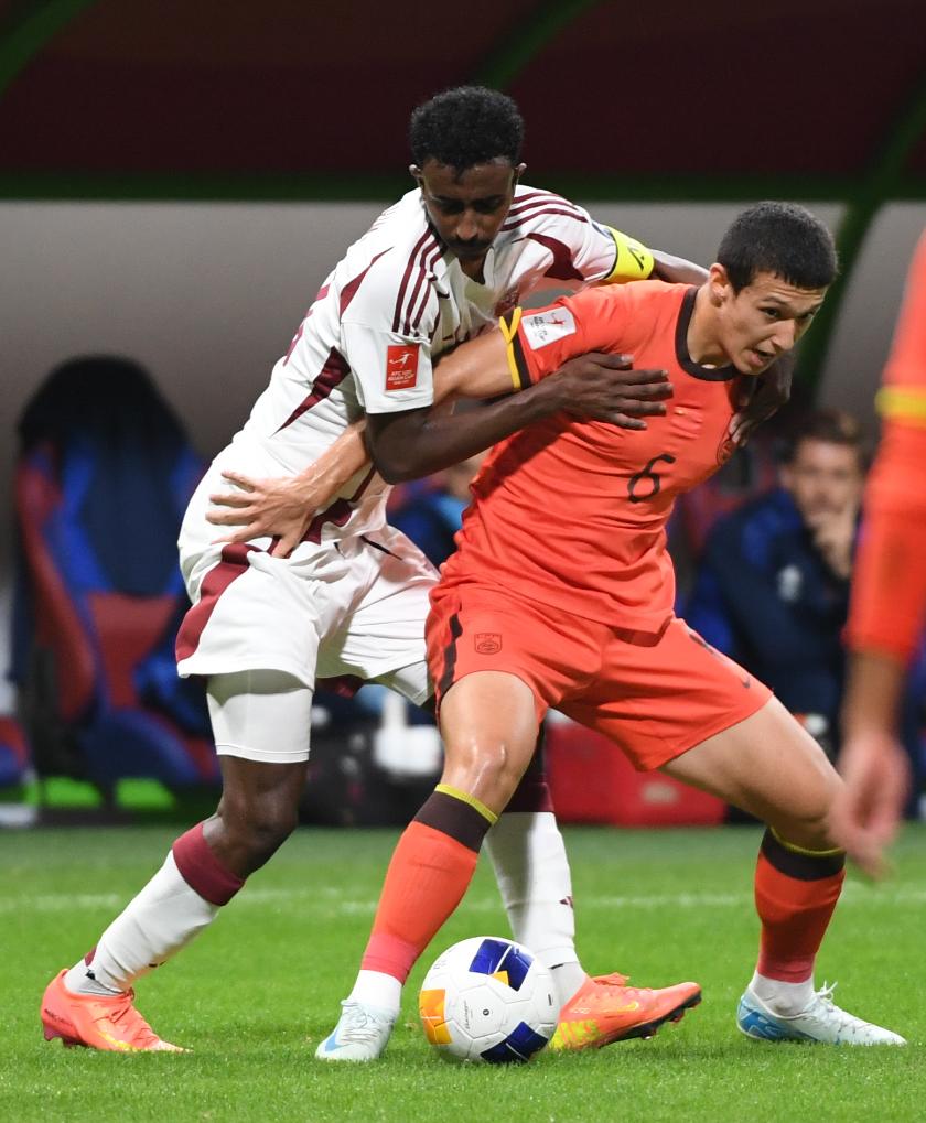 无码人妻少妇色欲AV一区二区