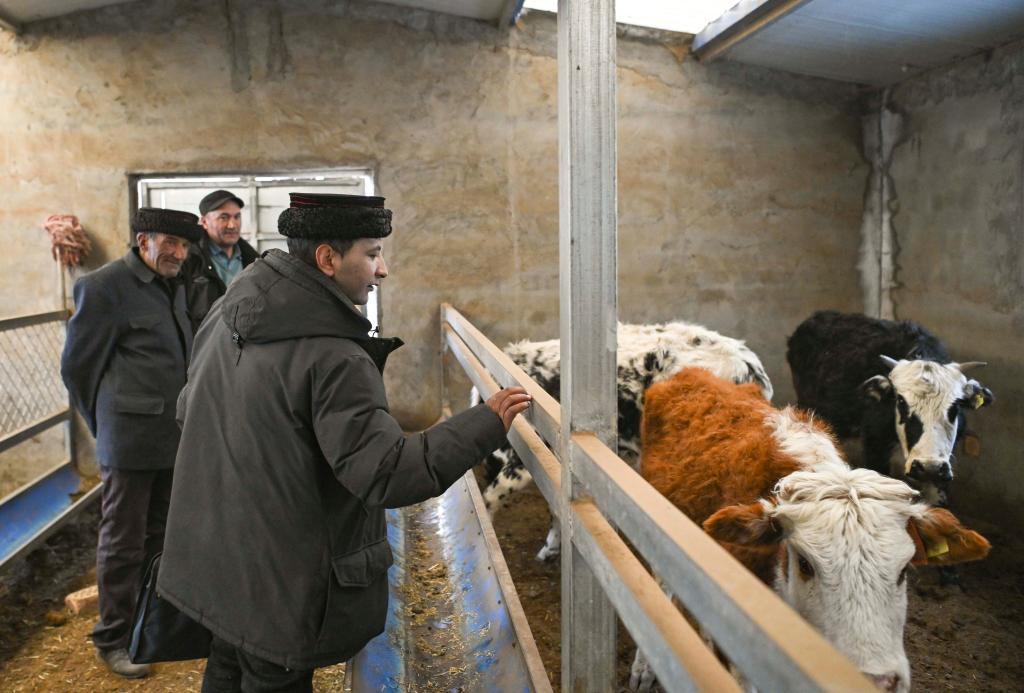 无码人妻少妇色欲AV一区二区