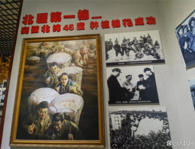 无码人妻少妇色欲AV一区二区