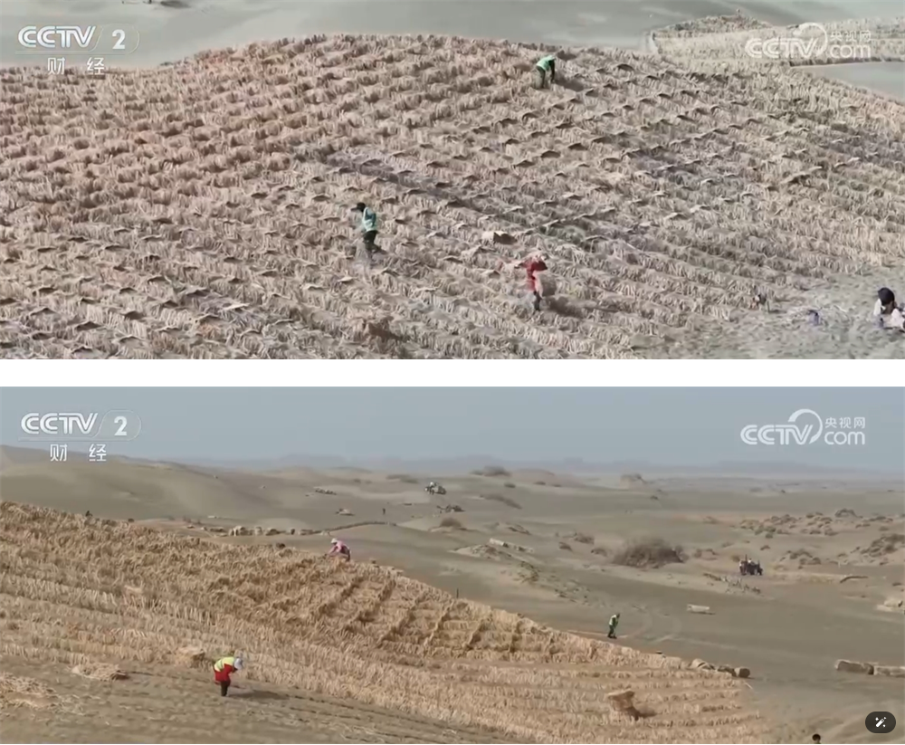 无码人妻少妇色欲AV一区二区