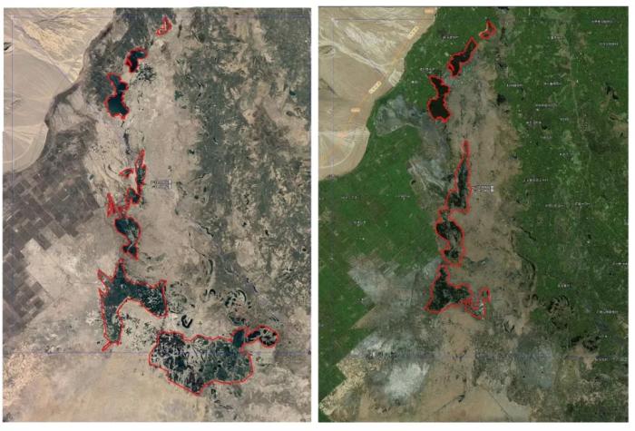 无码人妻少妇色欲AV一区二区
