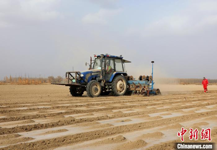 无码人妻少妇色欲AV一区二区