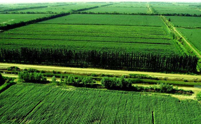 无码人妻少妇色欲AV一区二区