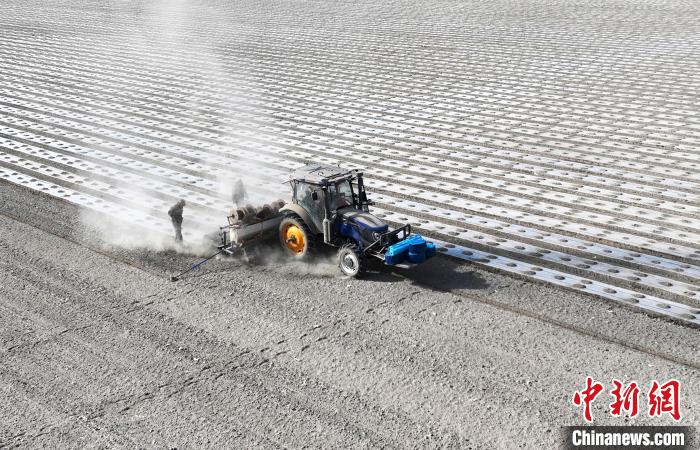 无码人妻少妇色欲AV一区二区