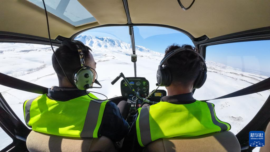 无码人妻少妇色欲AV一区二区