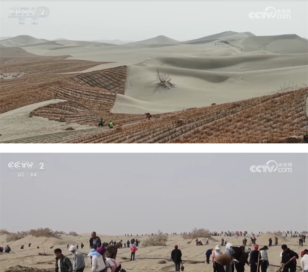 无码人妻少妇色欲AV一区二区