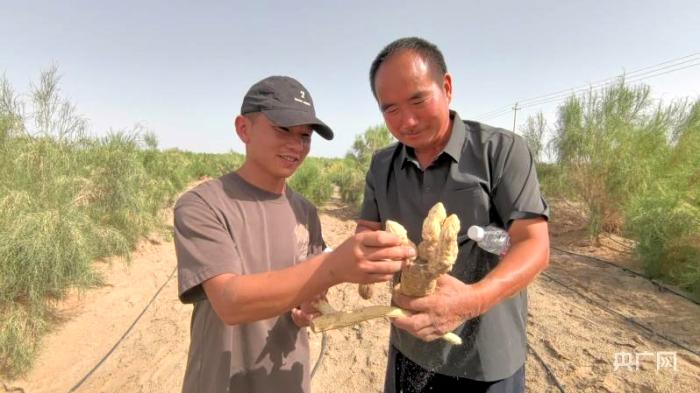 无码人妻少妇色欲AV一区二区