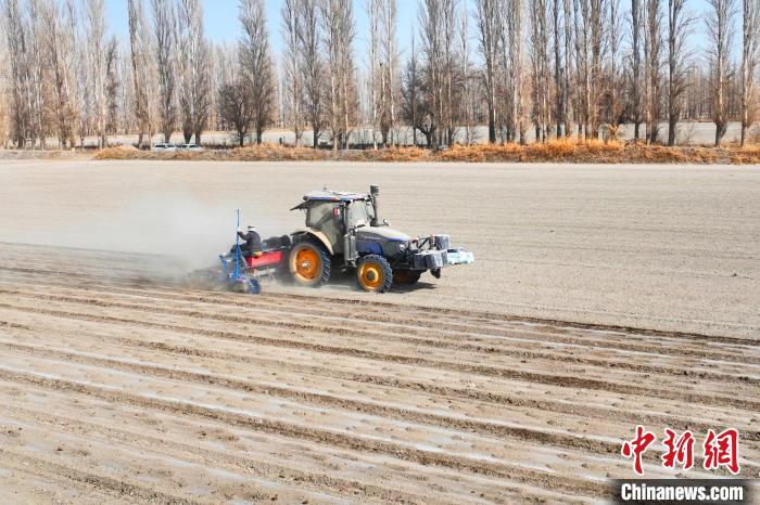 无码人妻少妇色欲AV一区二区