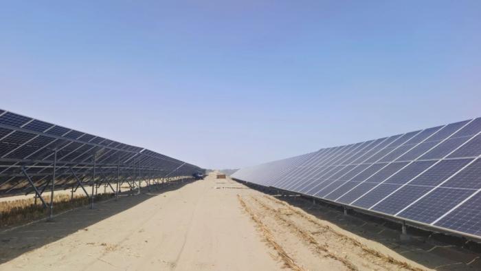 无码人妻少妇色欲AV一区二区