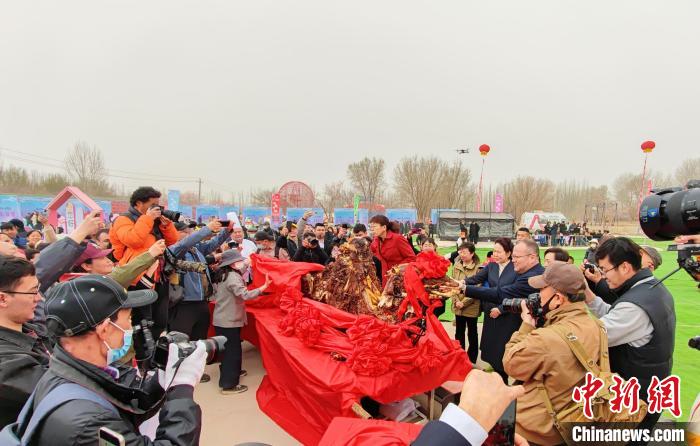 无码人妻少妇色欲AV一区二区