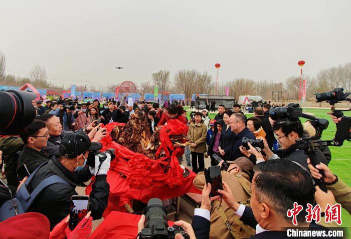 无码人妻少妇色欲AV一区二区