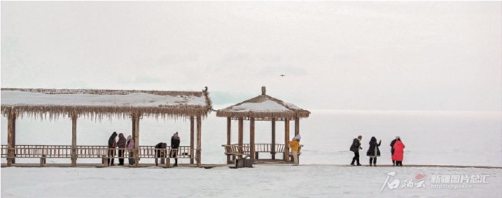 无码人妻少妇色欲AV一区二区