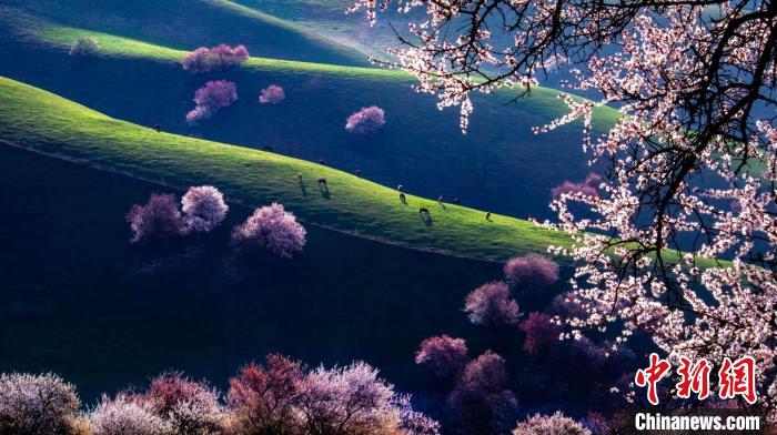 无码人妻少妇色欲AV一区二区