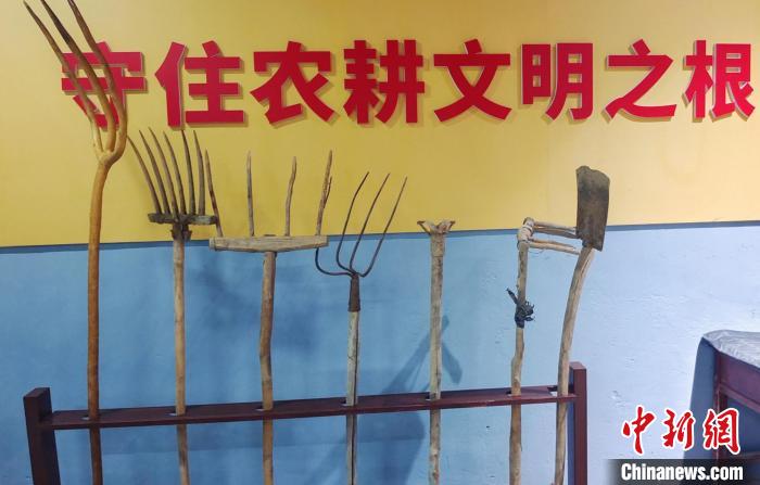 无码人妻少妇色欲AV一区二区