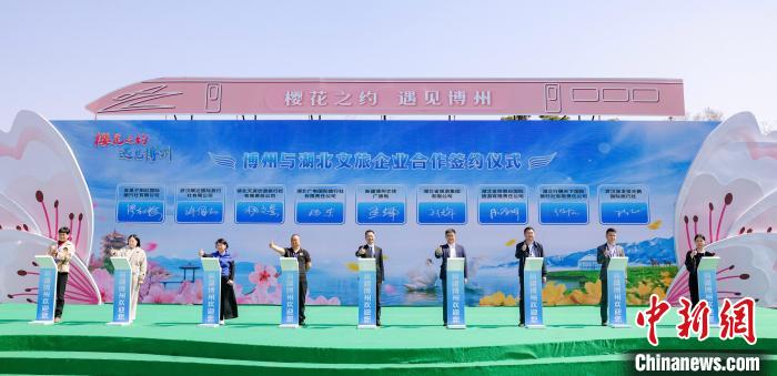 无码人妻少妇色欲AV一区二区