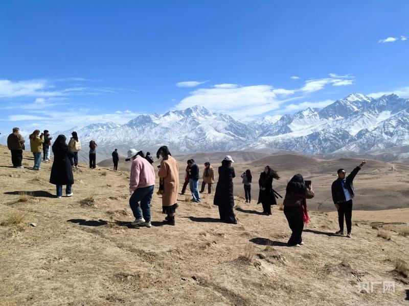 无码人妻少妇色欲AV一区二区