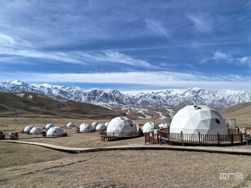 无码人妻少妇色欲AV一区二区