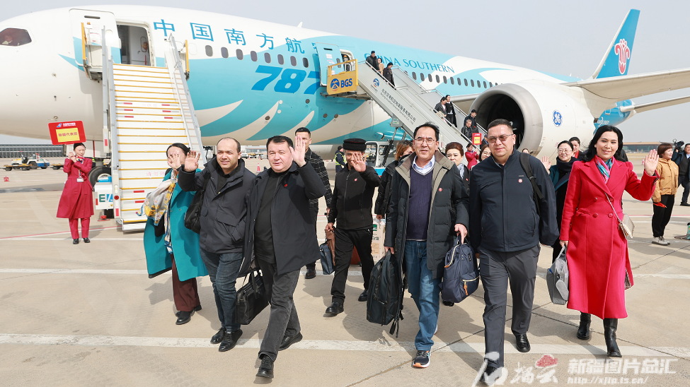 无码人妻少妇色欲AV一区二区