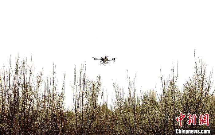 无码人妻少妇色欲AV一区二区