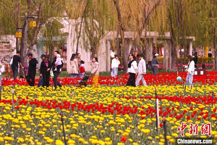 无码人妻少妇色欲AV一区二区