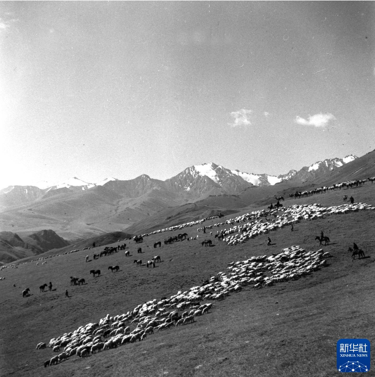 无码人妻少妇色欲AV一区二区