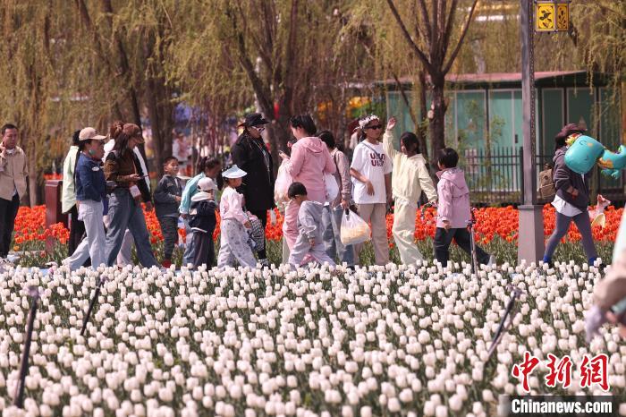 无码人妻少妇色欲AV一区二区