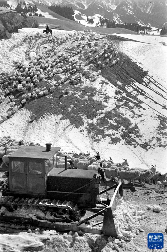 无码人妻少妇色欲AV一区二区