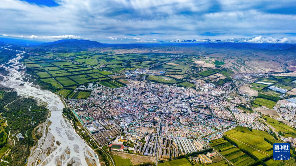 无码人妻少妇色欲AV一区二区