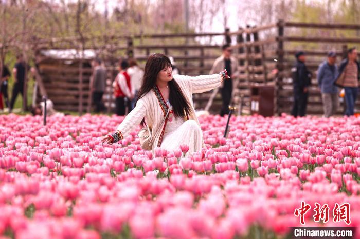 无码人妻少妇色欲AV一区二区