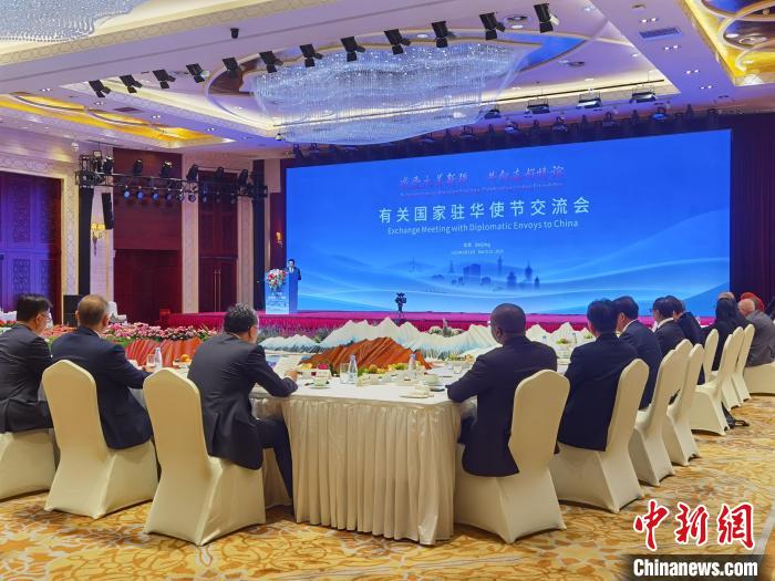 无码人妻少妇色欲AV一区二区