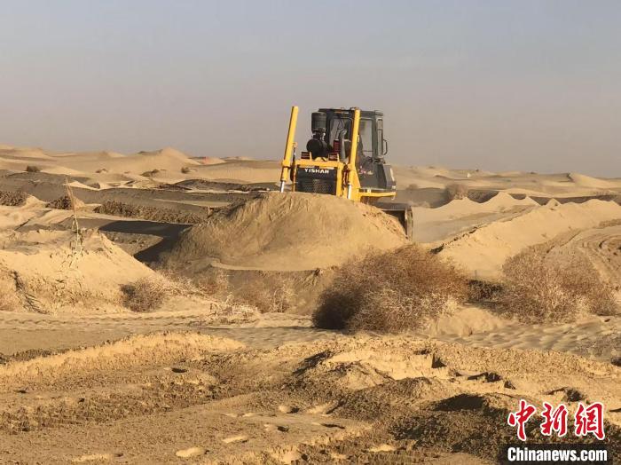 无码人妻少妇色欲AV一区二区