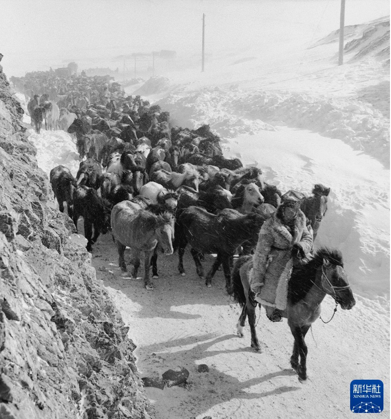 无码人妻少妇色欲AV一区二区