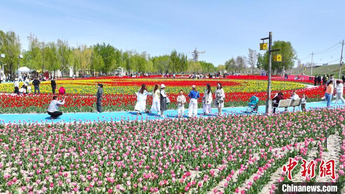 无码人妻少妇色欲AV一区二区