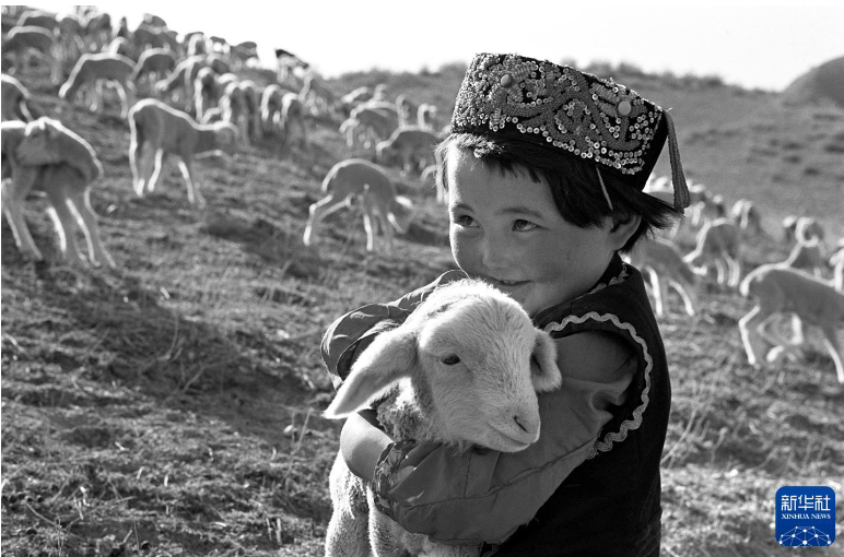 无码人妻少妇色欲AV一区二区