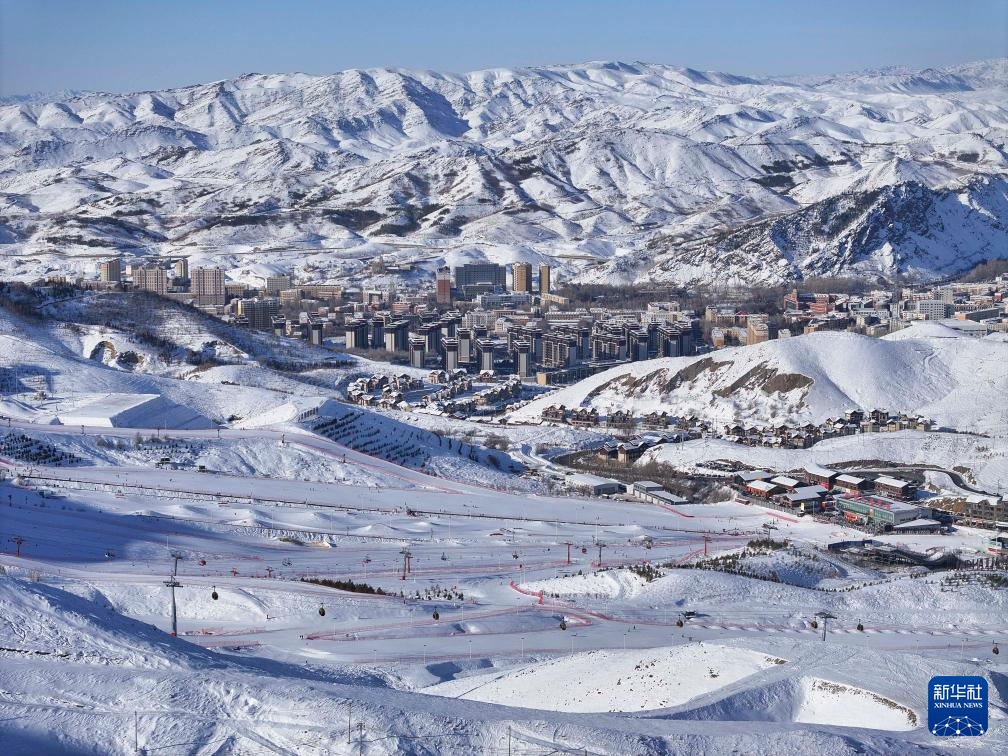 无码人妻少妇色欲AV一区二区